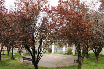 Naklejka premium Plantas en la ciudad