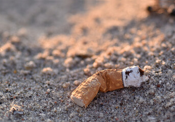Closeup of an old and weathered cigarette butt abandoned on the beach. The cigarette butt is laying on the sand and is lit from behind.

