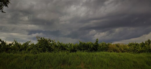 paisaje, campo, cielo, naturaleza, verde, agricultura, azul, campo, verano, campesina, chacras, campestre, árbol, vino, cerro, dehesa, aterrizar, nube, europa, nube,  horizonte, primavera uvas, vino, 