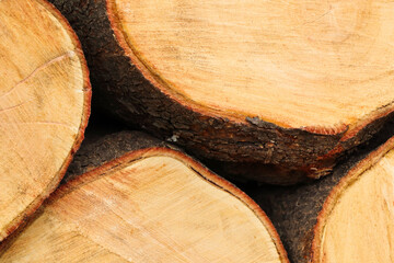 White Seringa Tree Wood Stack Close-up (Kirkia acuminata), Pretoria, South Africa