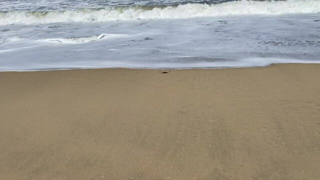 Half moon Bay California Beach Sand