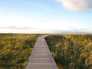 A straight road in the meadow. 　草原の一本道