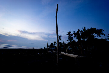 Tree trunks on Bali beach, decorated with beach sand and coconut trees. Isolated Indonesian natural beauty.