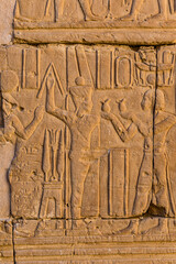 It's Hieroglyphs of the Deir el-Haggar temple, Dakhla Oasis, Western Desert, Egypt