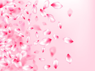 Japanese cherry blossom pink flying petals