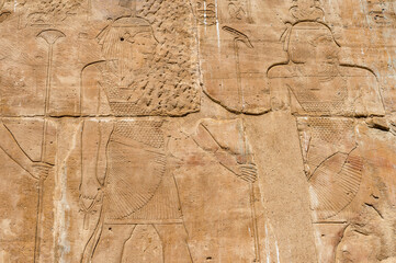 It's Hieroglyphs of the Temple of Hibis, the largest and most well preserved temple in the Kharga Oasis, Egypt