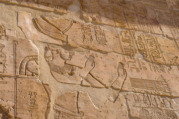 It's Hieroglyphs of the Temple of Hibis, the largest and most well preserved temple in the Kharga Oasis, Egypt