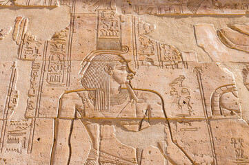 It's Hieroglyphs of the Temple of Hibis, the largest and most well preserved temple in the Kharga Oasis, Egypt