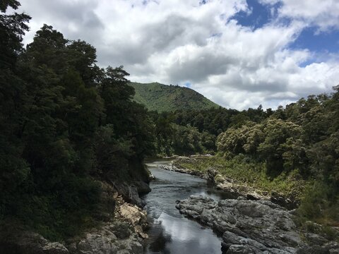 Pelorus 이미지 – 찾아보기 273 스톡 사진, 벡터 및 비디오 | Adobe Stock