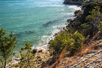 瀬戸内海の海_13