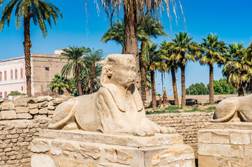It's Sphinx stuatue of the sphinx alley of the Luxor Temple, a large Ancient Egyptian temple, East...
