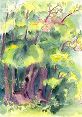 watercolor drawing of forest summer landscapee with trees and bushes