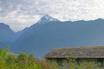 Fototapeta na wymiar The peaks of the mountains of Nepal among the trees are the landscape of the Himalayas 