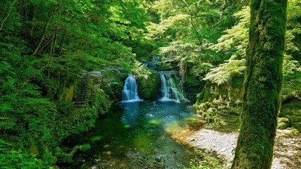 赤目四十八滝　木漏れ日浴びて輝く新緑の荷担滝の情景＠三重