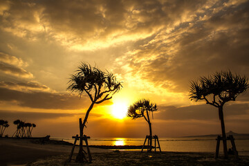 Beautiful silhouette of a tree at sunset in the Chura Sea in Okinawa_04
