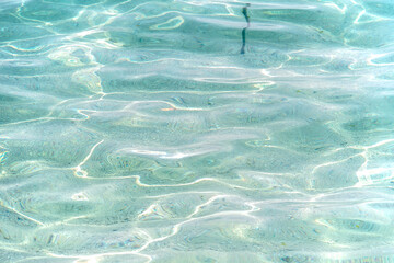 Obraz premium Okinawa's clean and clear seawater_03