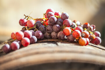 Grape on a wooden barrel. Macro image.