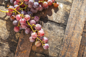 Grape on a wooden barrel. Macro image.