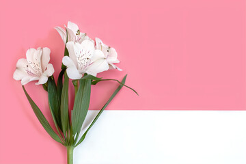 horizontal photo of a branch of white flowers with a sheet of paper on a pink background