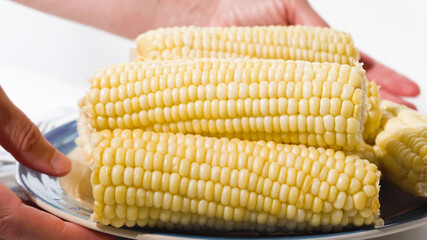 White corn. Boiled sweet white corn on the cob close up on a plate on white background
