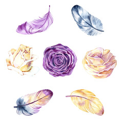 watercolor set with roses and feathers. Illustration isolated on white background. Vintage.