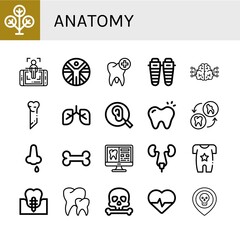 anatomy simple icons set
