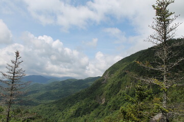 Fototapeta na wymiar Slide Mountain Wilderness in the Catskill Mountains, New York hiking scenes