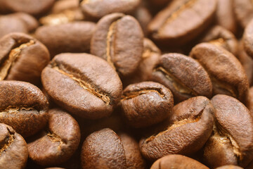 Roasted Coffee Beans. Close-up Shot.