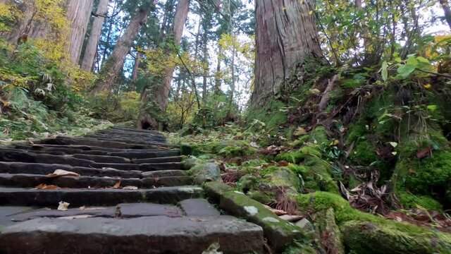 Walking along steep stone stairs in Haguro Mountain in the Fores. Japan, dolly in