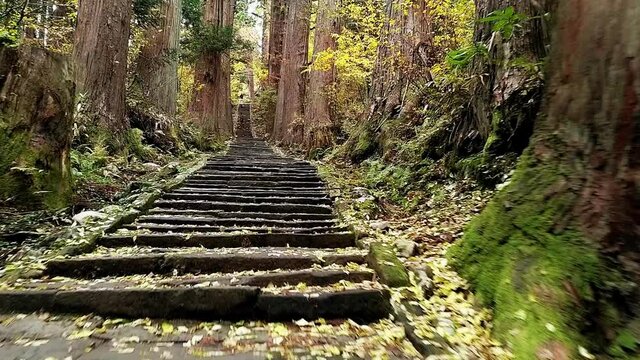 Walking slowly along the endless staircase of old stone stairs on holy mount haguro in Japan. Warm autumn lights