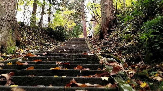 Camera moving low along old stone stairs with some autumnal leaves on it