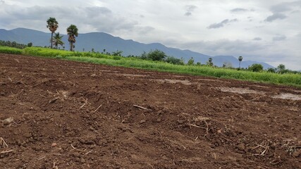 farmer in field