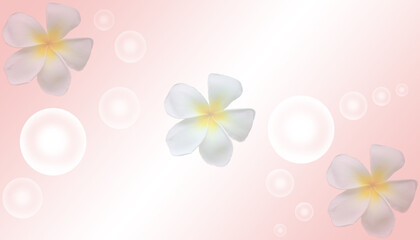 pink background illustration with bokeh and plumeria flowers