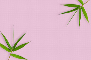 pink background has a crisp bamboo leaf that has copy space