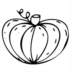 cute pumpkin, doodle vector decorative element for halloween celebration, black outline