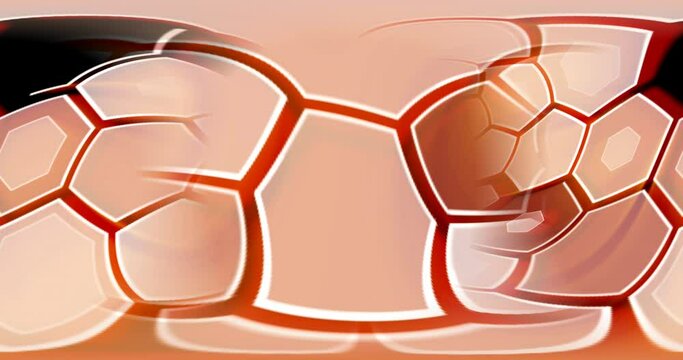 Animation of a geometrical figure hexa