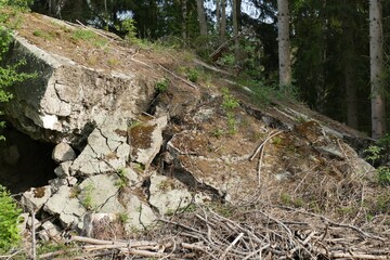 Ruinen eines alten Bunker aus dem 2.-Weltkrieg mit Bäumen im Wald bei Bad Münstereifel / Eifel