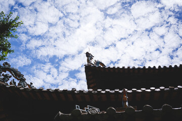 Fototapeta na wymiar Dragon stone on the roof
