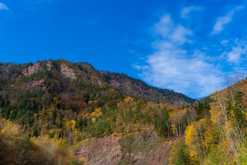 Fototapeta na wymiar Autumn forest on the slopes of the mountains.