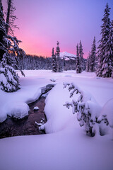 Winter Sunrise