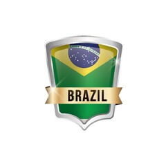 brazil flag icon