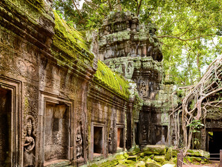 It's Tree roots over the Ta Prohm (Rajavihara), a temple at Angkor, Province, Cambodia. It was founded by the Khmer King Jayavarman VII as a Mahayana Buddhist monastery and university. - obrazy, fototapety, plakaty