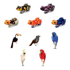 set of brazil frogs and birds