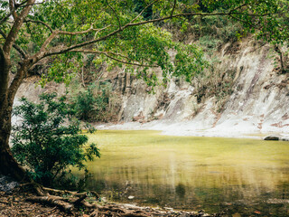 The tree and the river