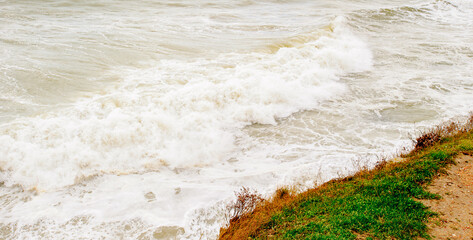 Nature of Chersonesus , archaeological park, Sevastopol, Crimea