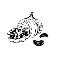 Illustration of black fermented garlic. Product for health and longevity. Useful seasoning for Asian dishes. Natural sweetener. Vector element for menu, recipes and your design.