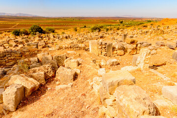Obraz premium It's Volubilis, an excavated Berber and Roman city in Morocco, ancient capital of the kingdom of Mauretania. UNESCO World Heritage