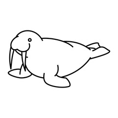 セイウチ