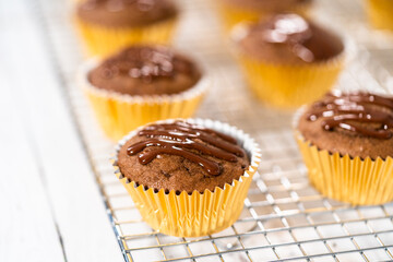 Chocolate raspberry cupcakes