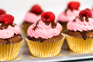 Chocolate raspberry cupcakes